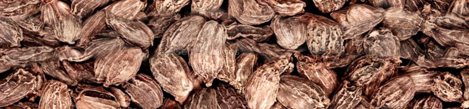 A member of the ginger family, black cardamom is a relative of green cardamom, a small herb with strong aromatic fragrances. Although they have similar flavors, they have very different culinary uses. It is dried over an open fire, which is what gives it such a powerful smokey aroma. It is full of the antioxidants. It keeps your ageing at bay and also helps you in getting a fairer skin complexion.
