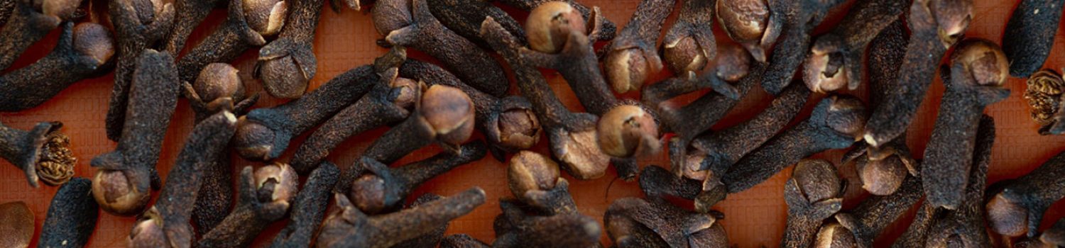 Close-up of cloves arranged in a random pattern.